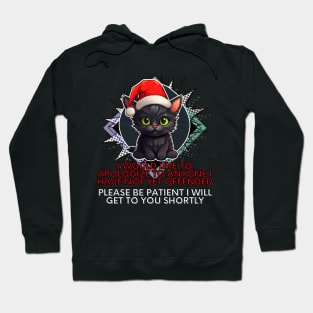 Funny Christmas Sarcastic Quote Cat Hoodie